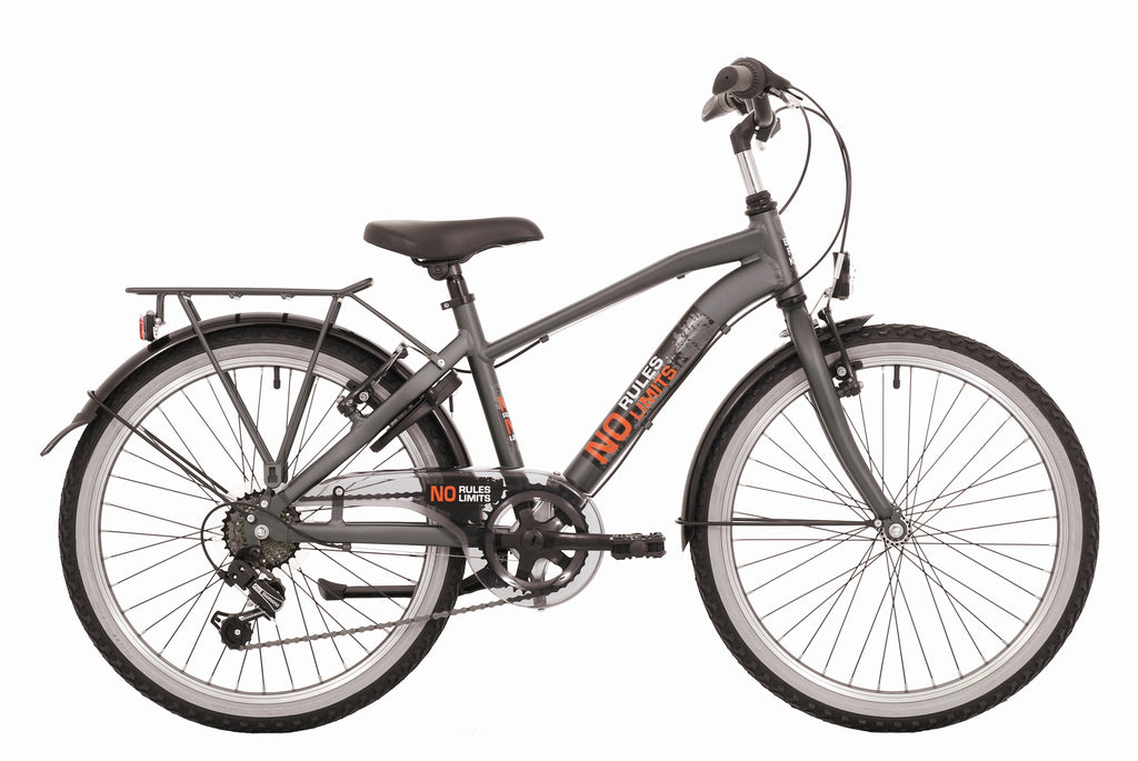 BikeFun No Rules / 6 Speed / 26 Grey